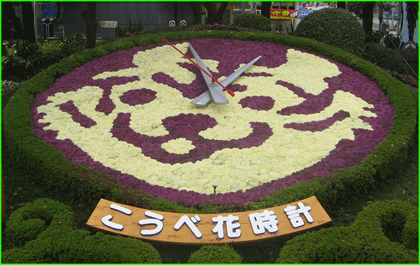 神戸の市役所前です